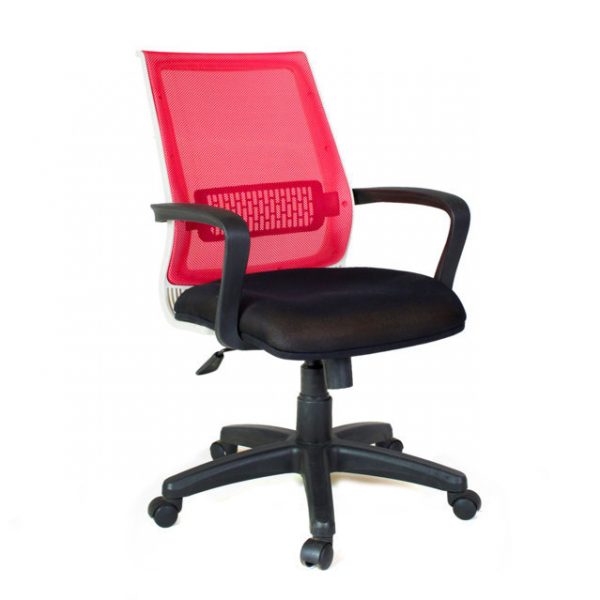 IMG_1856 (FILEminimizer)