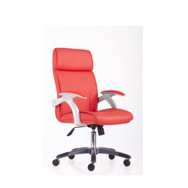 IMG_5862 copy (FILEminimizer)